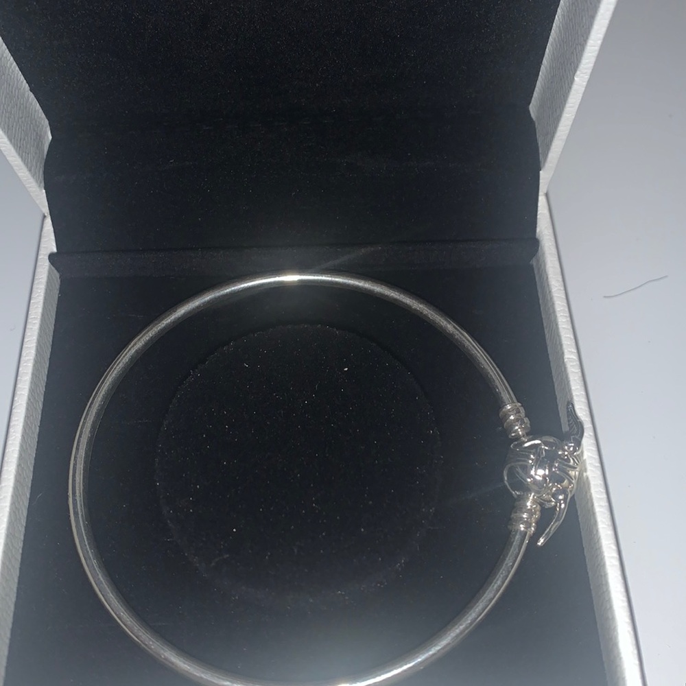 Harry Potter Pandora bracelet